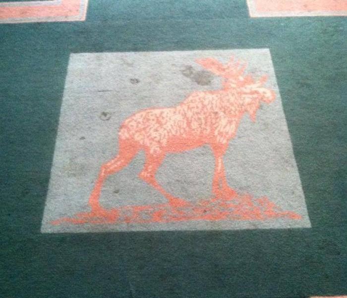gray, green and red carpet with a red moose on it.  Heavy stained throughout.  