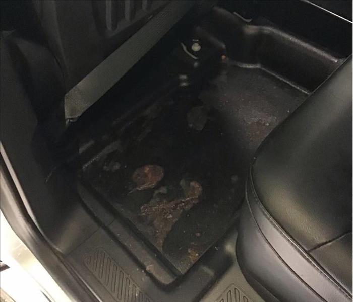 A police cruiser with vomit in the back seat's floorboard