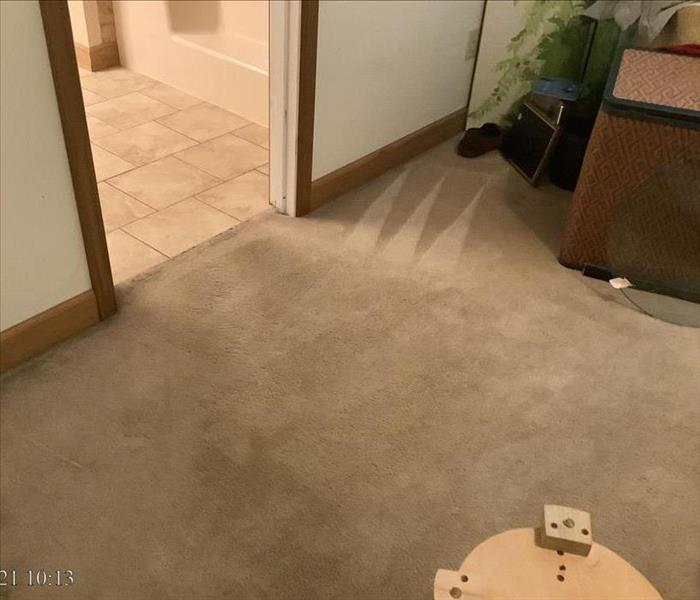 clean carpet and tile