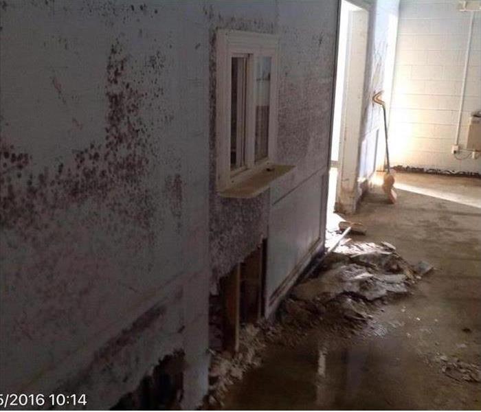 Mold infested drywall and standing water inside of local EMS building after the 2016 floods