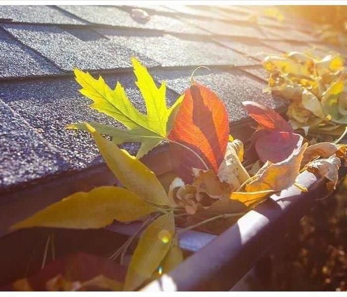Colorful leaves clogging a roof gutter